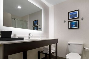 Comfort Inn & Suites Greer - Greenville