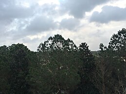 Sandestin Golf and Beach Resort