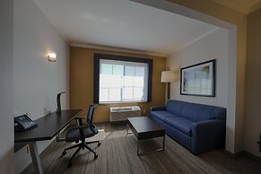 Holiday Inn Express & Suites Santa Clara-Silicon Valley by IHG