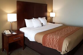 Comfort Inn I-10 West at 51st Ave