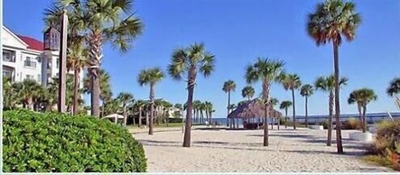 Harborside at Charleston Harbor Resort and Marina