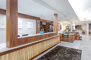 Hilton Garden Inn Orange Beach Beachfront