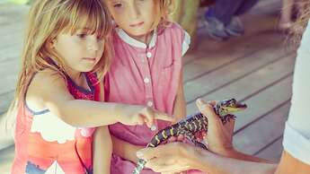 Holiday Inn Express San Diego South - National City by IHG