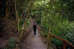 Ladera Resort - Adults Only