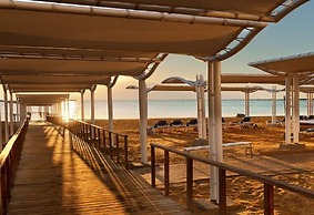 Vert Dead Sea