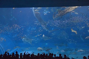 Sheraton OKINAWA SUNMARINA RESORT