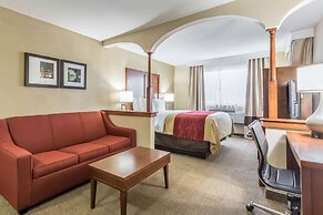 Comfort Inn Nashville West