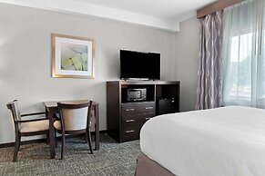 Best Western Plus Flint Airport Inn & Suites