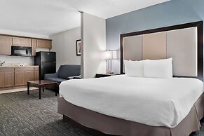 Best Western Plus Flint Airport Inn & Suites