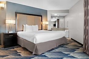 Best Western Plus Flint Airport Inn & Suites