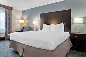 Best Western Plus Flint Airport Inn & Suites