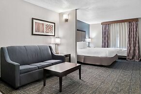 Best Western Plus Flint Airport Inn & Suites
