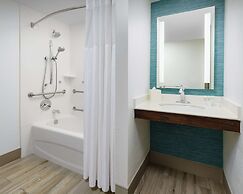 Hilton Garden Inn Orlando at SeaWorld