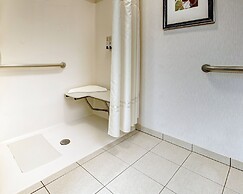 Phoenix Inn Suites - Albany
