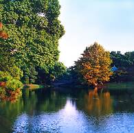 Xijiao State Guest Hotel