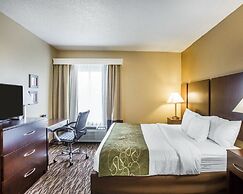 Comfort Suites Lebanon