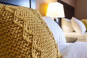 Royal Hotel Edmonton Airport, Trademark Collection by Wyndham