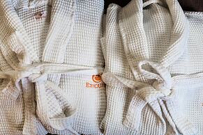 Royal Hotel Edmonton Airport, Trademark Collection by Wyndham