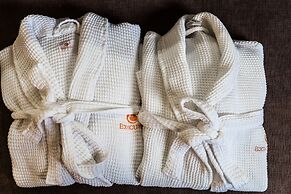 Royal Hotel Edmonton Airport, Trademark Collection by Wyndham