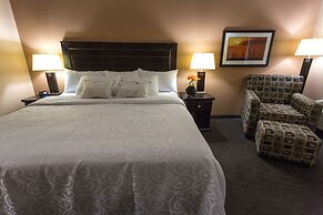 Royal Hotel Edmonton Airport, Trademark Collection by Wyndham