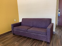 Days Inn & Suites by Wyndham Tampa/Raymond James Stadium