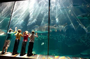 Steenberg Hotel & Spa