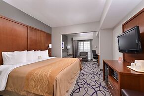 Comfort Inn & Suites Frisco - Plano