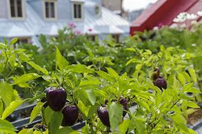 Hotel Du Vieux Quebec