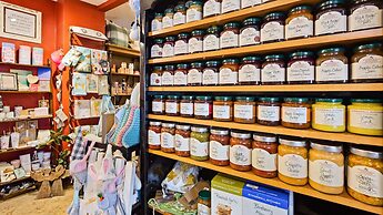 Best Western Vista Inn