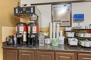 Best Western Vista Inn