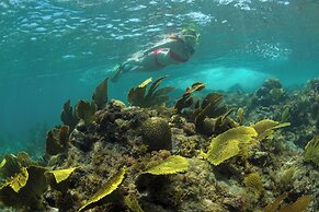 The Buccaneer Beach & Golf Resort