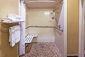 Holiday Inn Express Hotel & Suites Houston-Downtown Conv Ctr by IHG