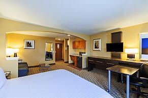 Holiday Inn Express Hotel & Suites Houston-Downtown Conv Ctr by IHG