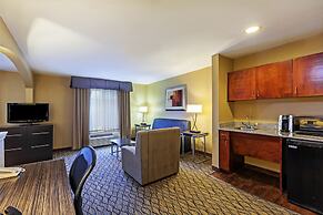 Holiday Inn Express Hotel & Suites Houston-Downtown Conv Ctr by IHG