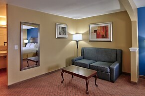 Holiday Inn Express Hotel & Suites Houston-Downtown Conv Ctr by IHG
