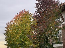 Holiday Inn Victoria Elk Lake by IHG