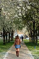 Best Western Chiswick Palace & Suites