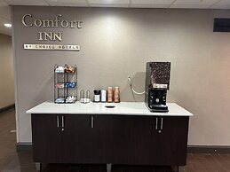 Comfort Inn & Suites Oxford South