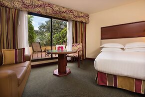 Barceló San José