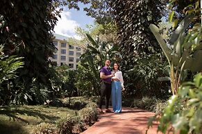Barceló San José