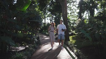 Barceló San José