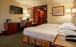 Barceló San José