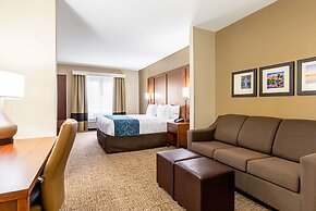 Comfort Inn & Suites Pine Bluff