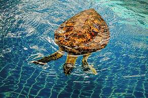 JW Marriott Phuket Resort & Spa