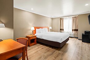 Comfort Inn & Suites Salinas City Center Area