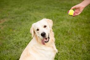 Best Western Sanctuary Inn