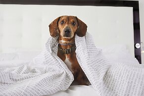 INNSiDE by Meliá Palma Bosque