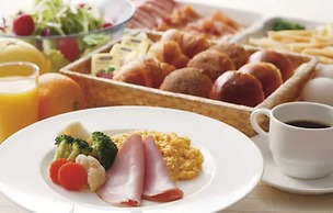 Keio Plaza Hotel Hachioji