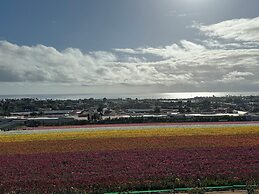 Holiday Inn Express Hotel & Suites Carlsbad Beach by IHG