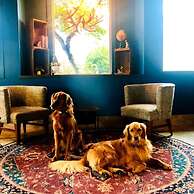 Maverick Hotel Eugene Near University, Ascend Hotel Collection